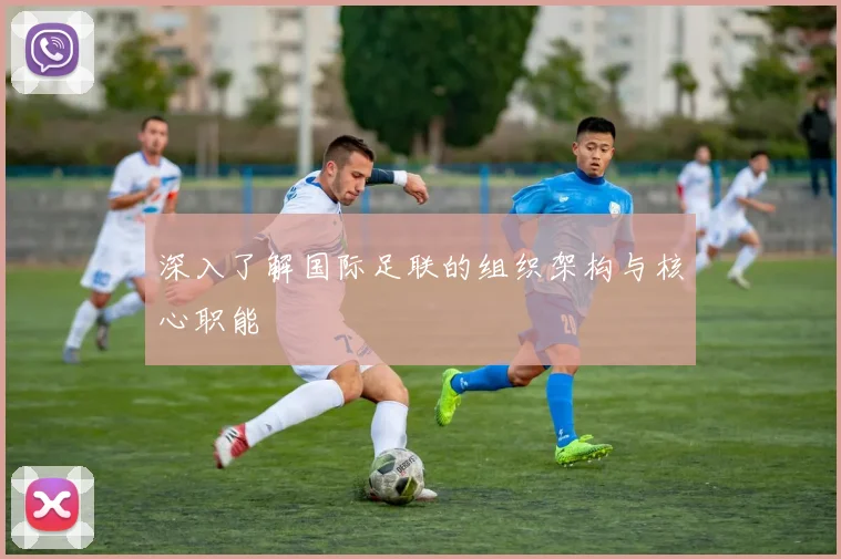 深入了解国际足联的组织架构与核心职能